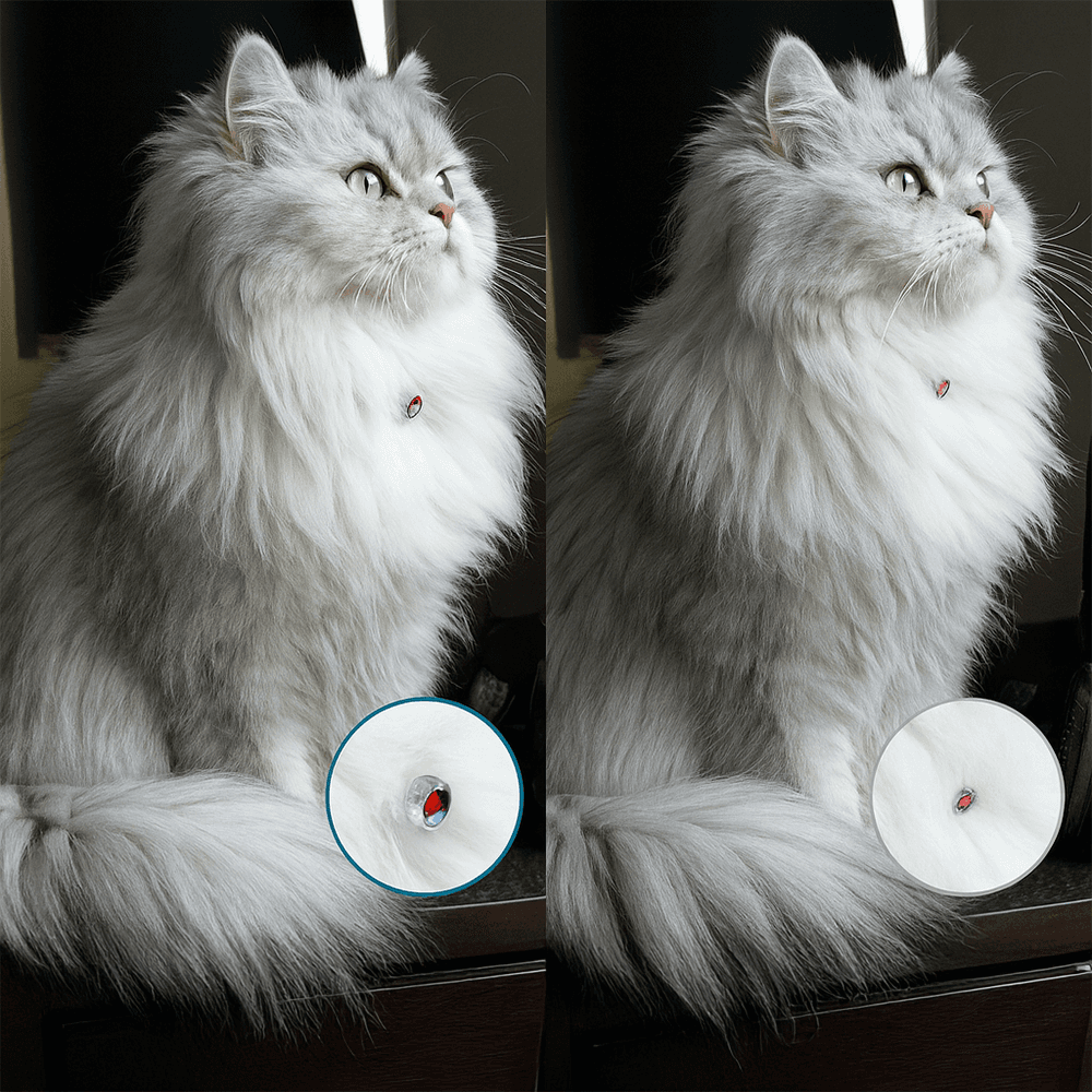 ZYNERA LUMOBAND – OBROŻA LASEROWA POWSTRZYMUJĄCA DRAPANIE MEBLI I ZNUDZENIE KOTA